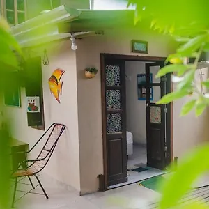 https://recanto-mico-leao.santa-catarina-brasil.com